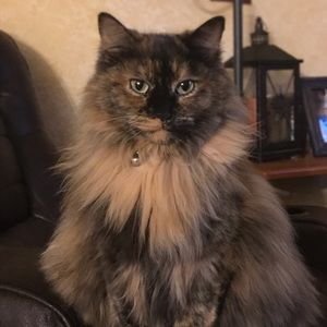 Meet your Posher, Rusty